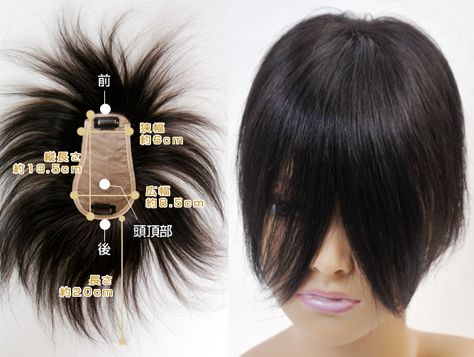 �w�A�s�[�X100 �u�[���^�C�v