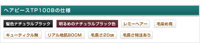 �w�A�s�[�X100�u�[���^�C�v�̎d�l