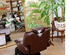 ����T����