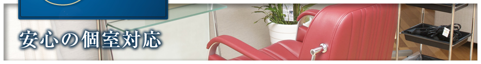 ���S�̌��Ή�