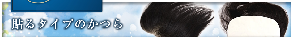 �\��^�C�v�̂���