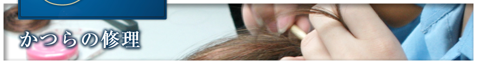 ����̏C��