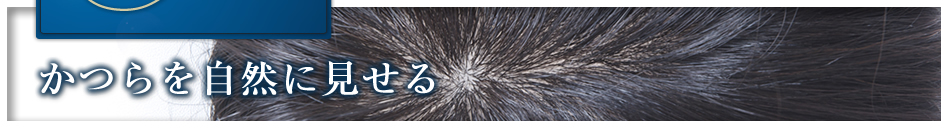 ��������R�Ɍ�����