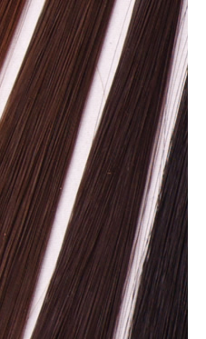 ����̑ސF�ɂ���