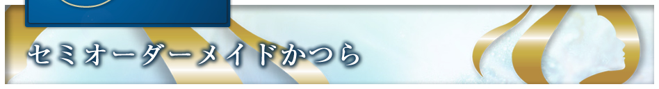 �Z�~�I�[�_�[���C�h����