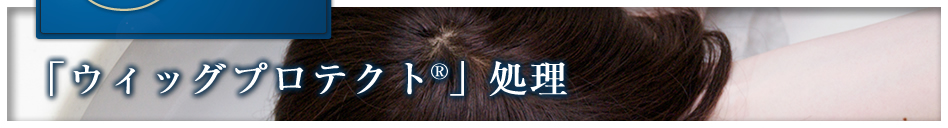 �E�B�b�O�v���e�N�g����