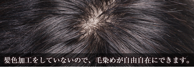 ���F���H�����Ă��Ȃ��̂ŁA�ѐ��߂����R���݂ɂł��܂��B